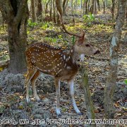 Tengragiri Wildlife Sanctuary